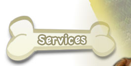 Services