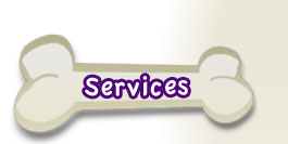 Services