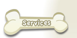 Services